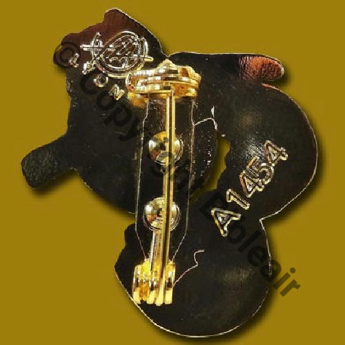 A1454  2015 BR.226 DRILLE INS ENT FALCON CIET.340 VILLACOUBLAY  FIA Sigle Tambour Dos lisse Src.P.GOUT via A.DENIS 